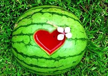 梦见摘了瓜吃瓜,摘瓜食瓜的奇幻体验