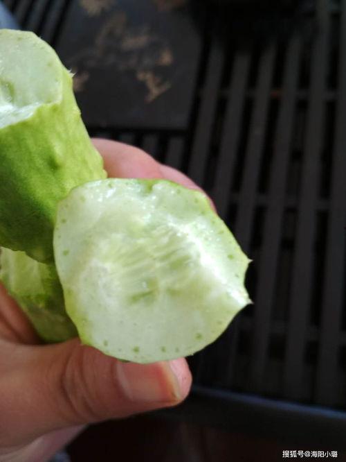 吃白玉瓜,探寻清新口感与营养价值的完美融合