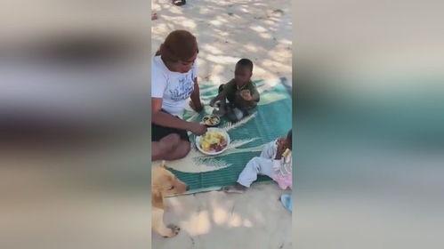 小胖闯非洲吃瓜