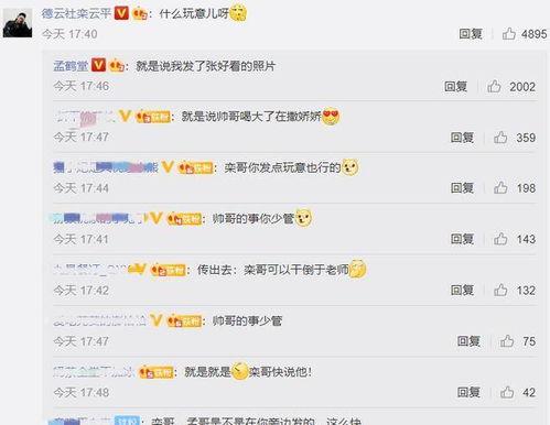 回复吃瓜的评论,网络评论背后的故事