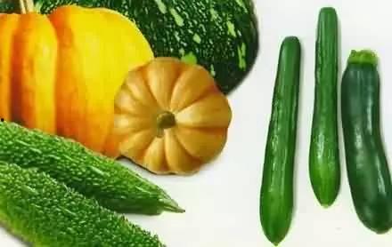 臻臻吃瓜,揭秘娱乐圈那些不为人知的幕后故事