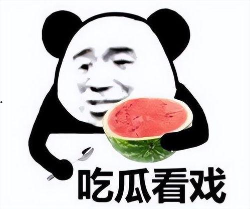 职业吃瓜表情包,揭秘网络表情包背后的趣味人生